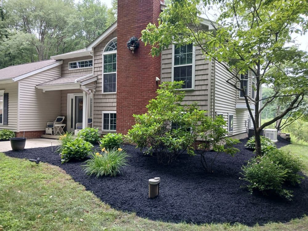Modern home exterior with landscaped yard, black mulch, and green shrubs.