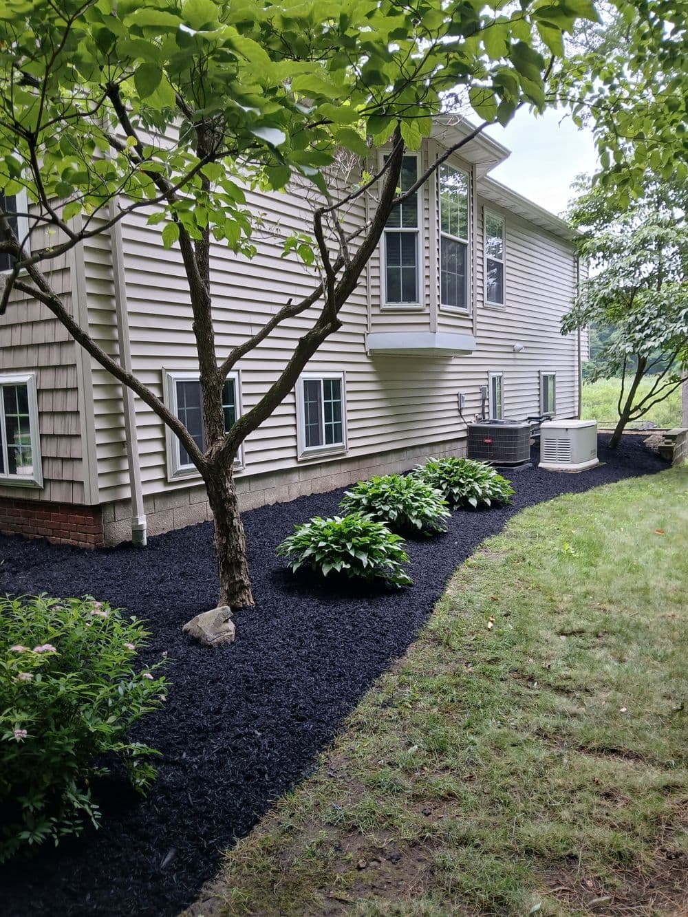 Landscaped side yard with black mulch, hostas, tree, and home exterior in background.