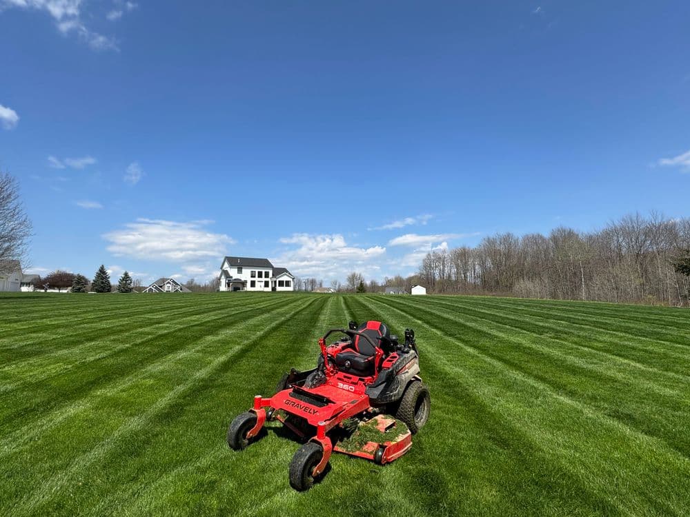 Red zero-turn mower on freshly mowed lawn with a blue sky and house in the background.