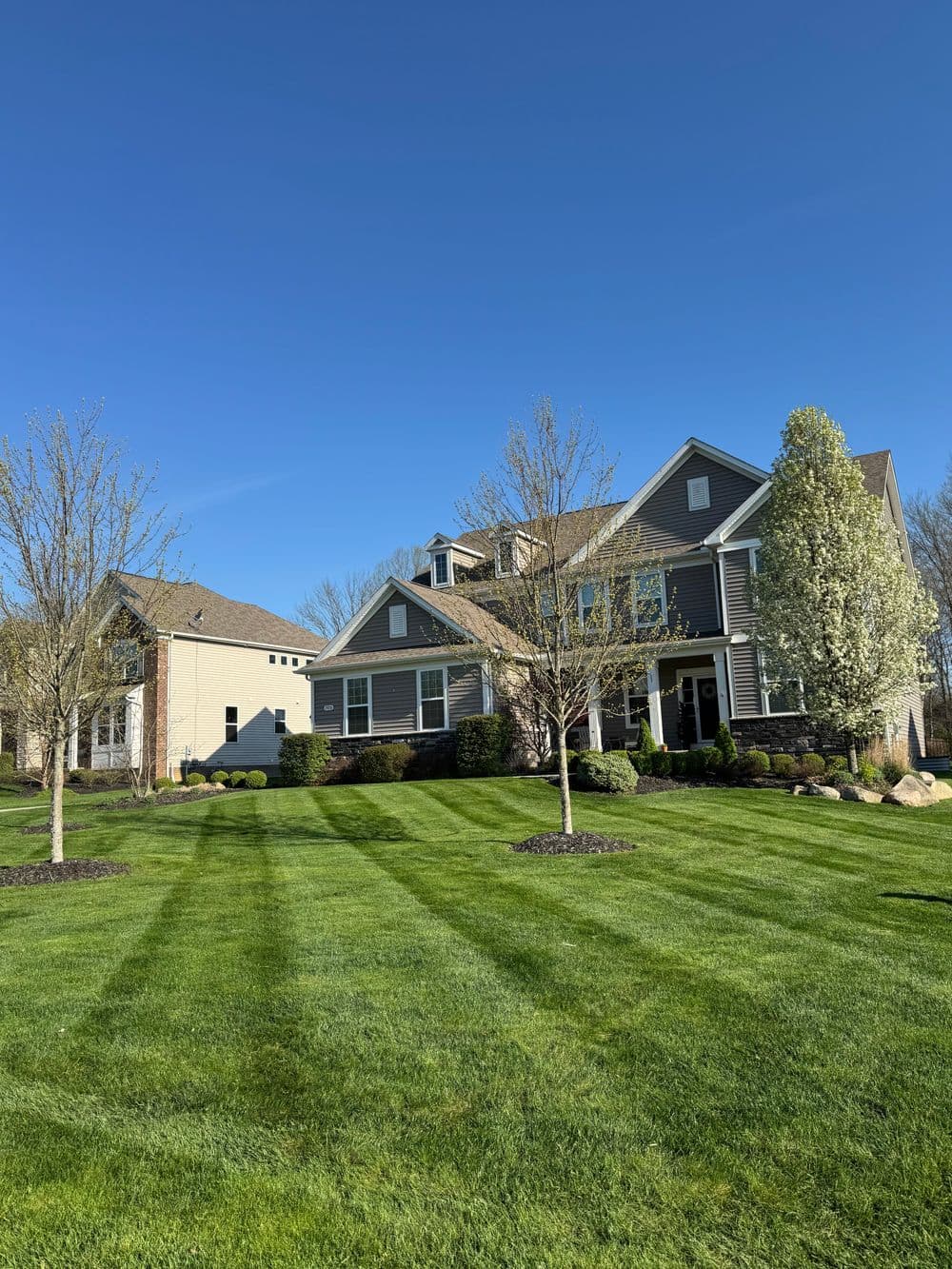 Modern house with landscaped lawn, trees, and blue sky on a sunny day.