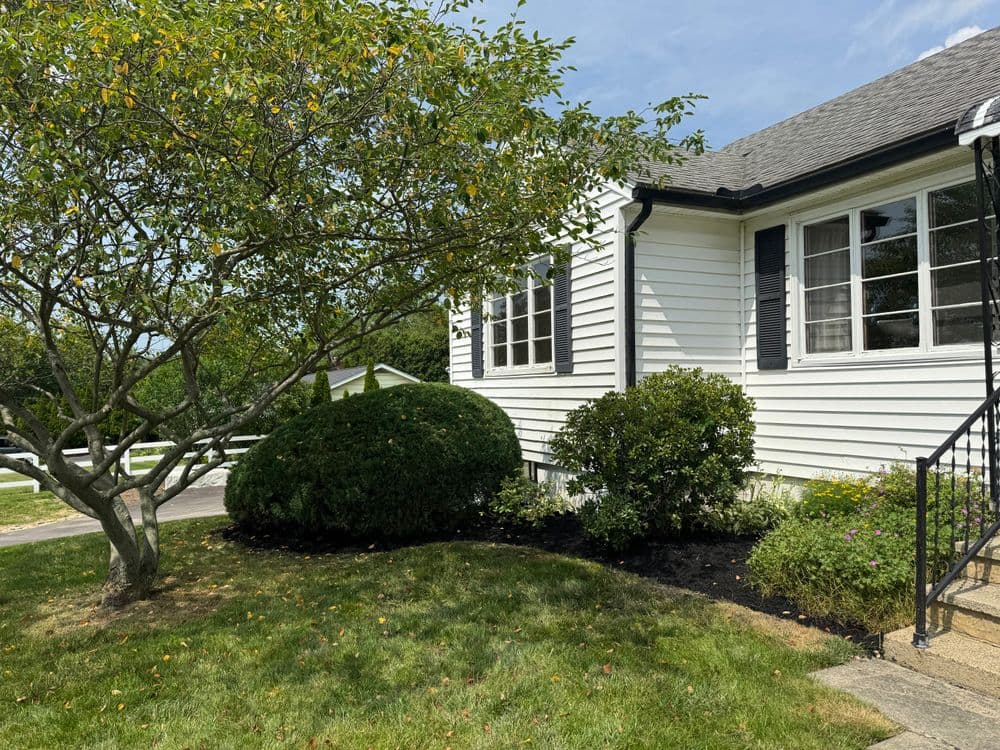 Charming home exterior with lush greenery and well-maintained landscaping on a sunny day.
