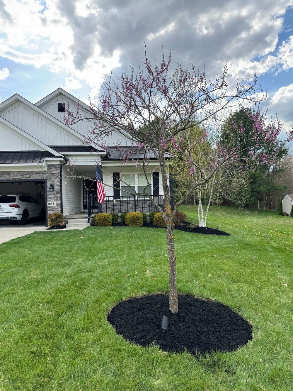 Flowering tree in front of a house with a US flag, surrounded by freshly mulched landscaping.
