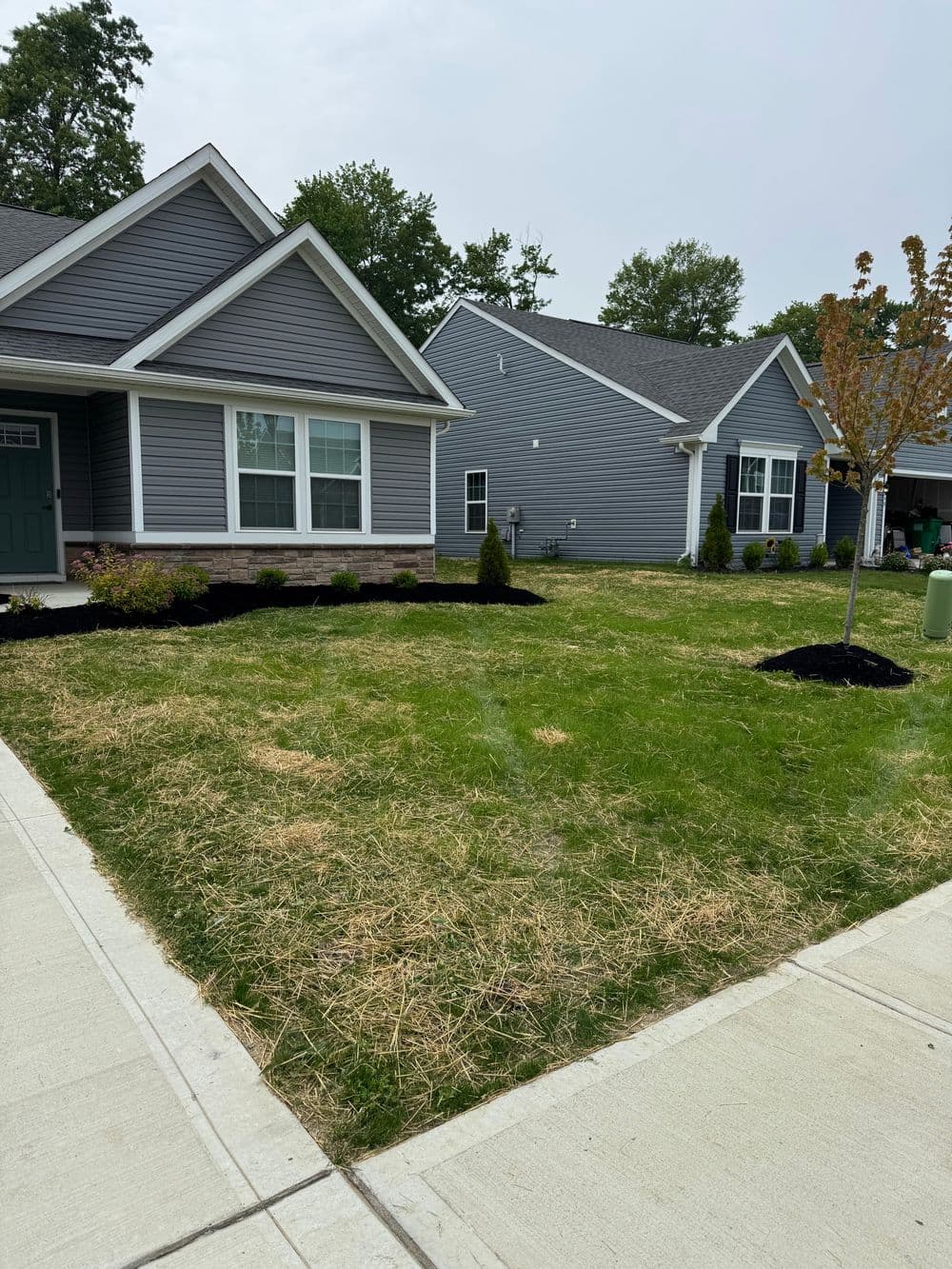 Newly built homes with landscaped lawns and green trees, showcasing modern architecture.