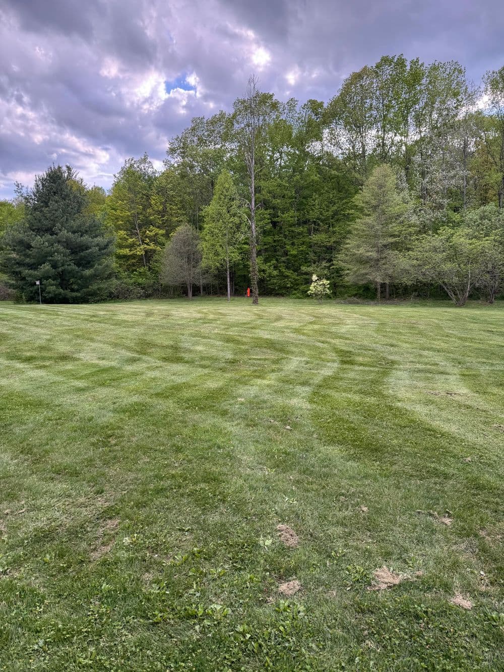 Lush green lawn with mowed patterns and tall trees under a cloudy sky.