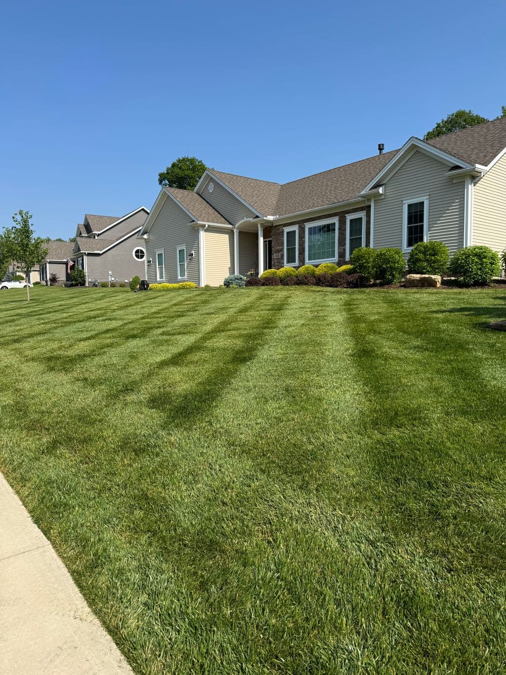 Well-maintained lawn with striped grass in front of a modern suburban house on a sunny day.