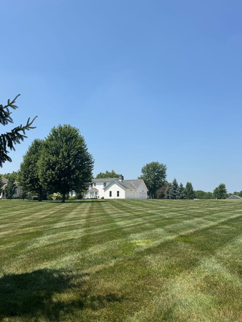 Gallery photos for Expert Lawn Care Transformations in Ohio: Image #16