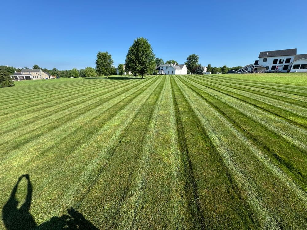 Gallery photos for Expert Lawn Care Transformations in Ohio: Image #22