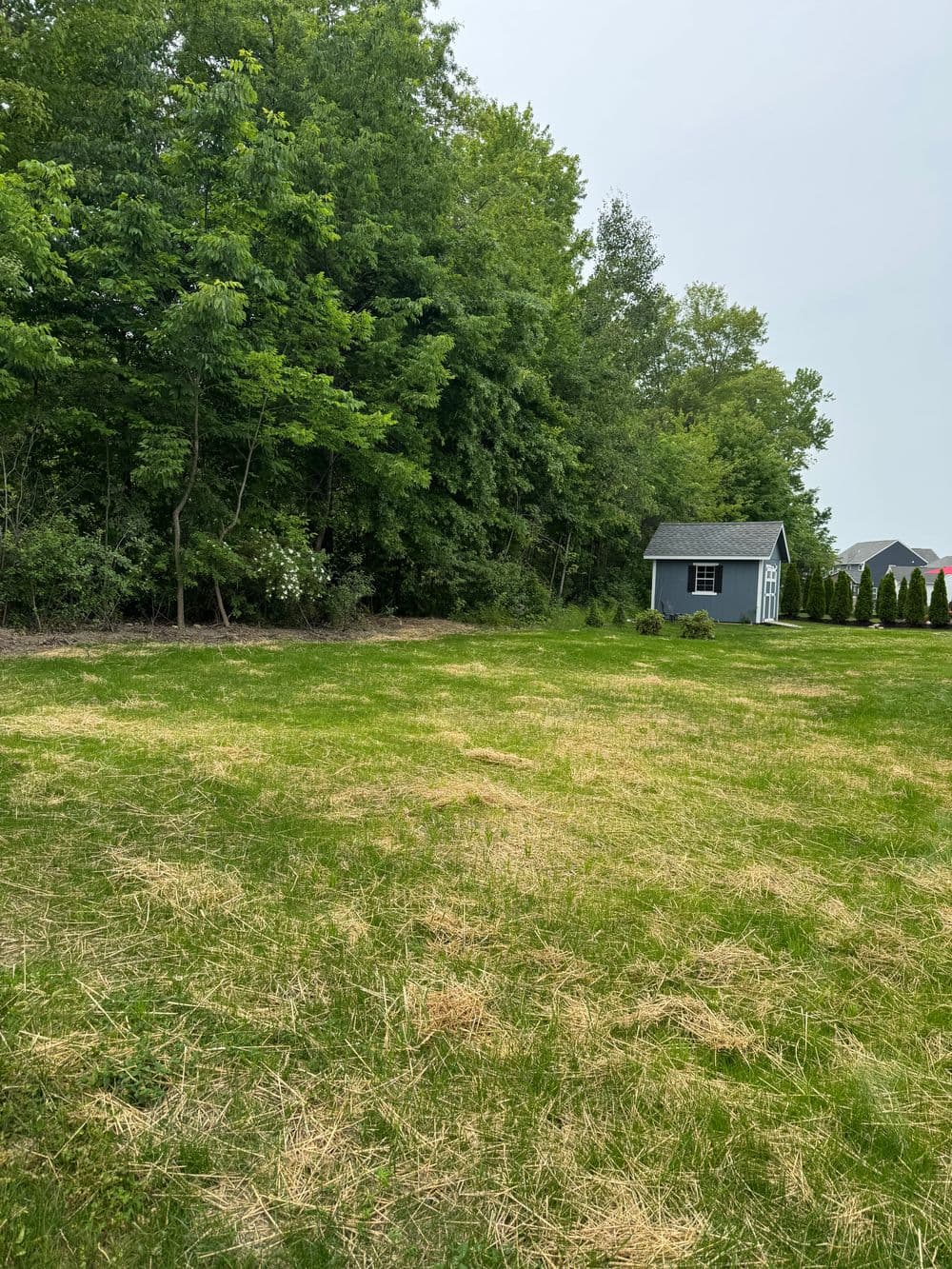 Gallery photos for Expert Lawn Care Transformations in Ohio: Image #7