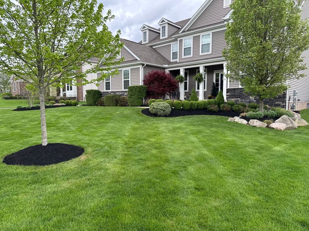 Gallery photos for Expert Lawn Care Transformations in Ohio: Image #3