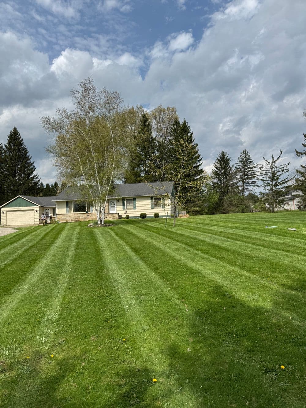 Project Expert Lawn Care Transformations in Ohio image