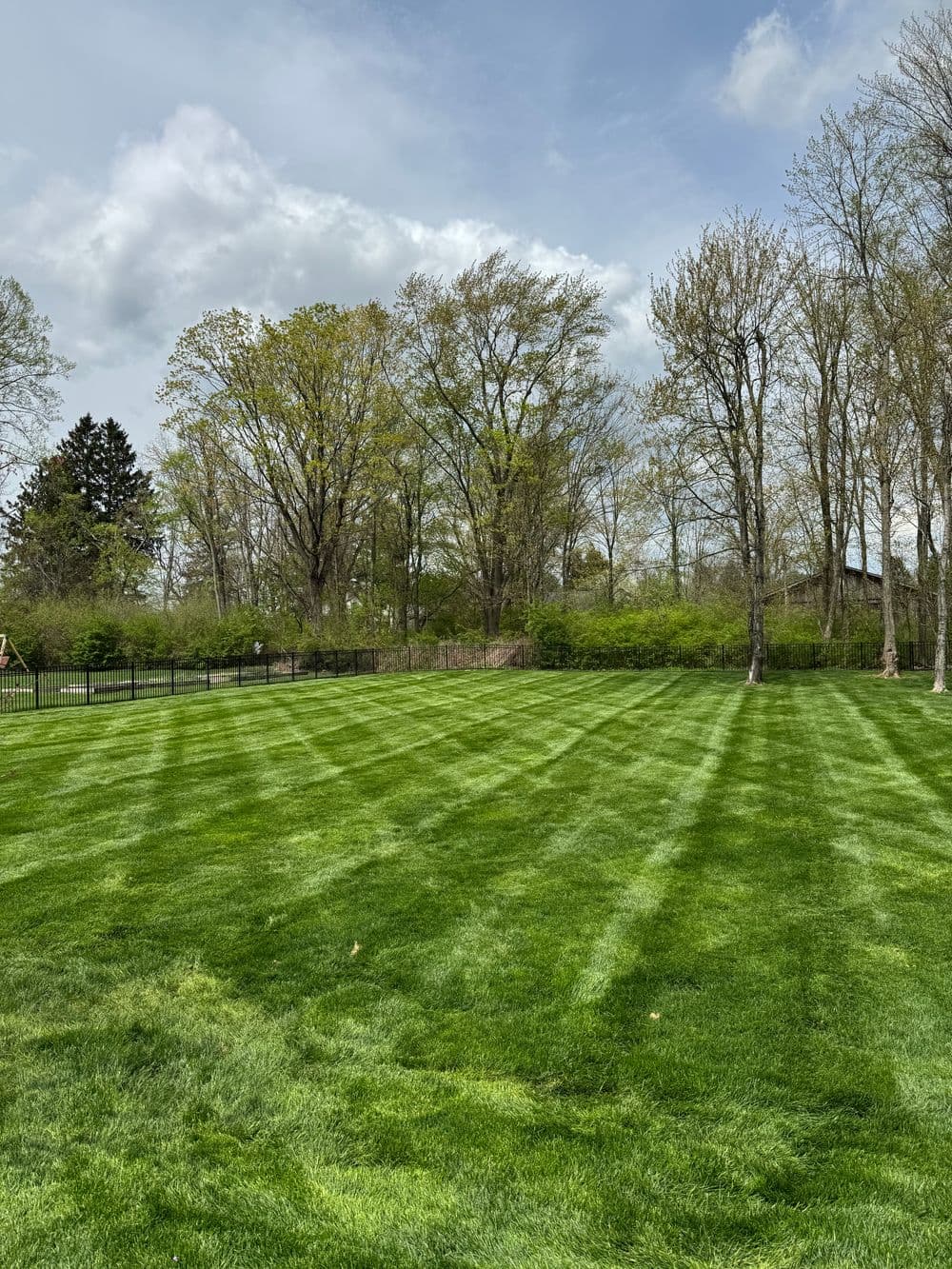 Gallery photos for Expert Lawn Care Transformations in Ohio: Image #4