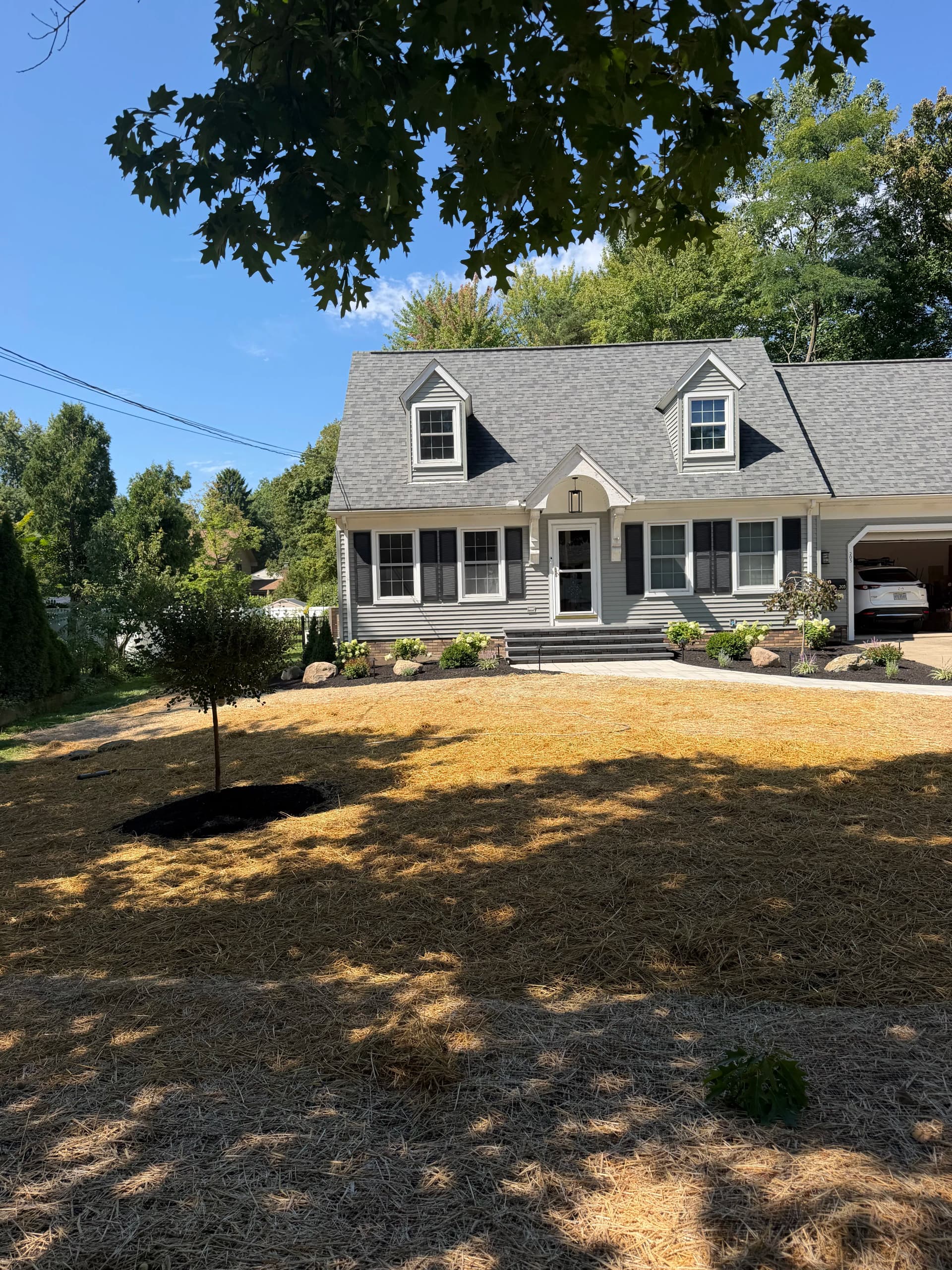 Gallery photos for Heated Walkway and Landscape Lighting Front Yard Overhaul: Image #4