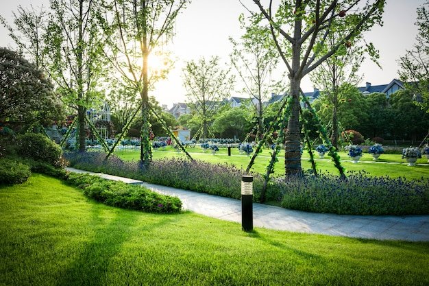 beautiful panorama green city park dawn 1127 3213